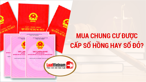 Năm 2026, mua chung cư được cấp Sổ hồng hay Sổ đỏ?