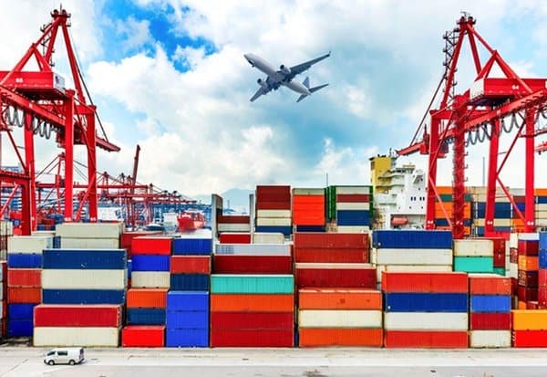 Thành phần hồ sơ khai hải quan đối với hàng hóa xuất khẩu trong công ty TNHH một thành viên