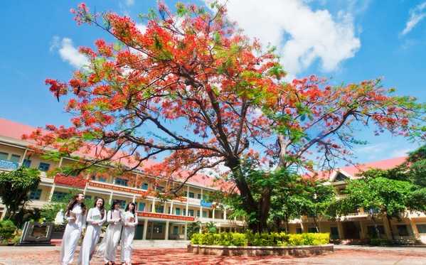 Nhấn vào ảnh để phóng to Điều chỉnh thời gian nghỉ hè của giáo viên năm học 2019 - 2020