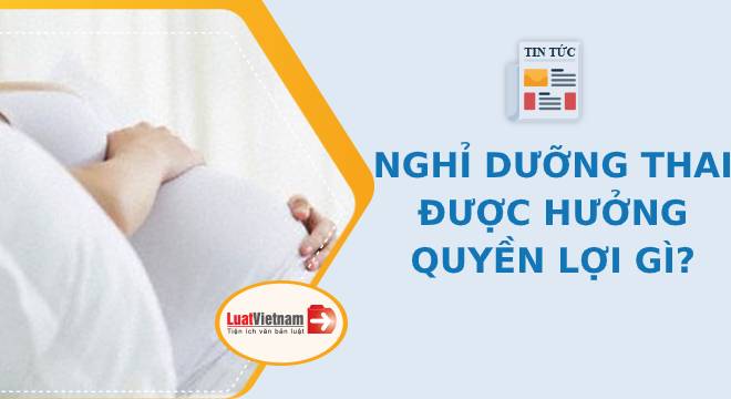 Nghỉ việc để dưỡng thai có được hưởng chế độ thai sản?