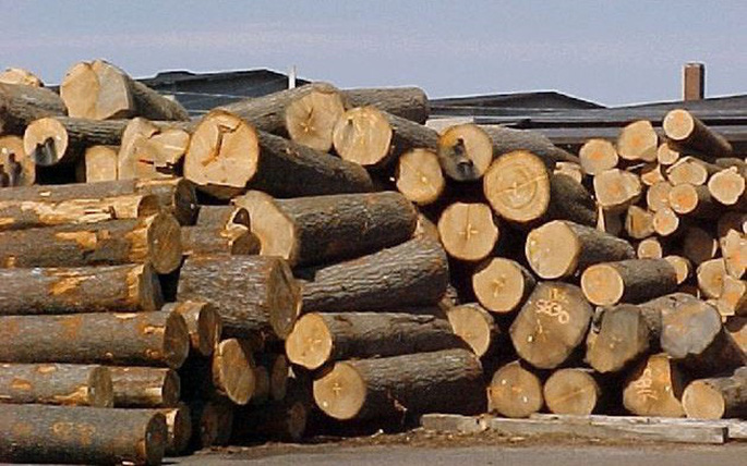thủ tục xuất nhập khẩu gỗ