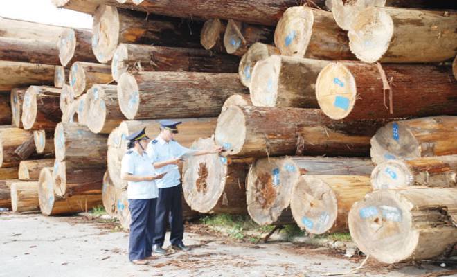 Từ 30/10/2020, cần kiểm tra thực tế 20% lô hàng gỗ trước khi xuất khẩu 
