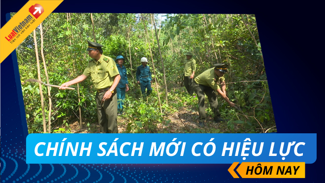 chinh sach moi co hieu luc 18/01/2021