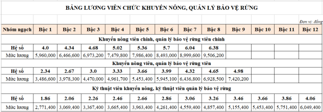 chinh sach moi co hieu luc 26/02/2021