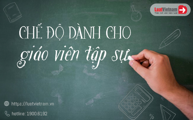 che do giao vien tap su