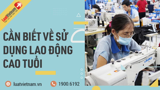 su dung lao dong cao tuoi