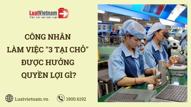 cong nhan lam viec 3 tai cho