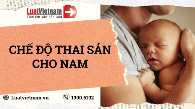 che do thai san cho nam