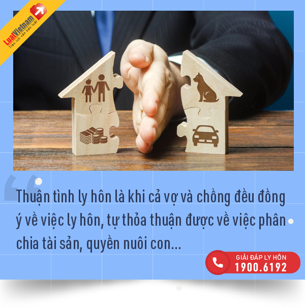 thu tuc ly hon thuan tinh