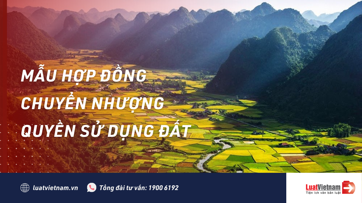 Mẫu Hợp đồng chuyển nhượng quyền sử dụng đất mau hop dong chuyen nhuong quyen su dung dat