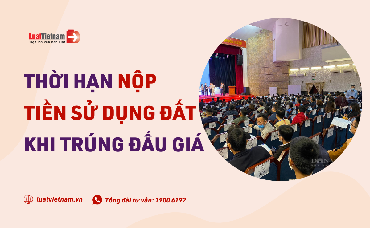 Thời hạn nộp tiền trúng đấu giá đất thoi han nop tien trung dau gia dat