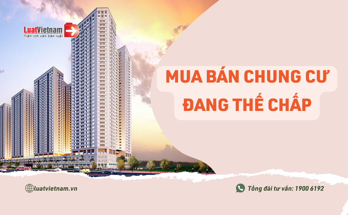 mua bán chung cư đang thế chấp mua ban chung cu dang the chap