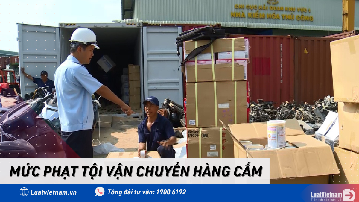 toi van chuyen hang cam