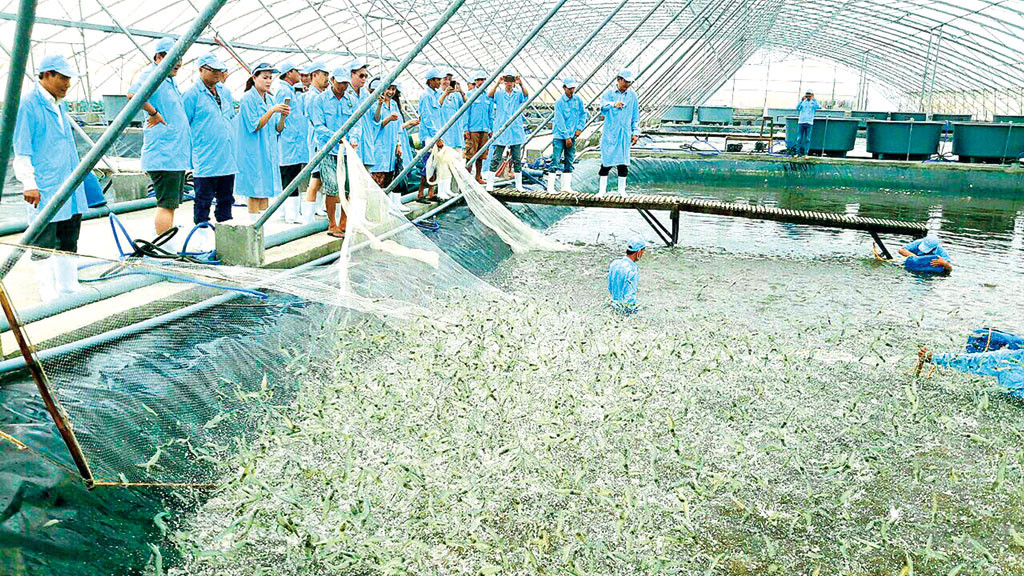 By 2030: Total aquaculture productivity reaches 7 million tons/year