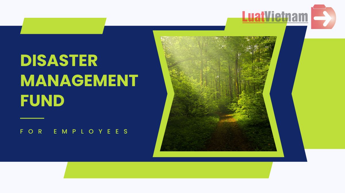 [Latest] The level of disaster management fund payment for employees