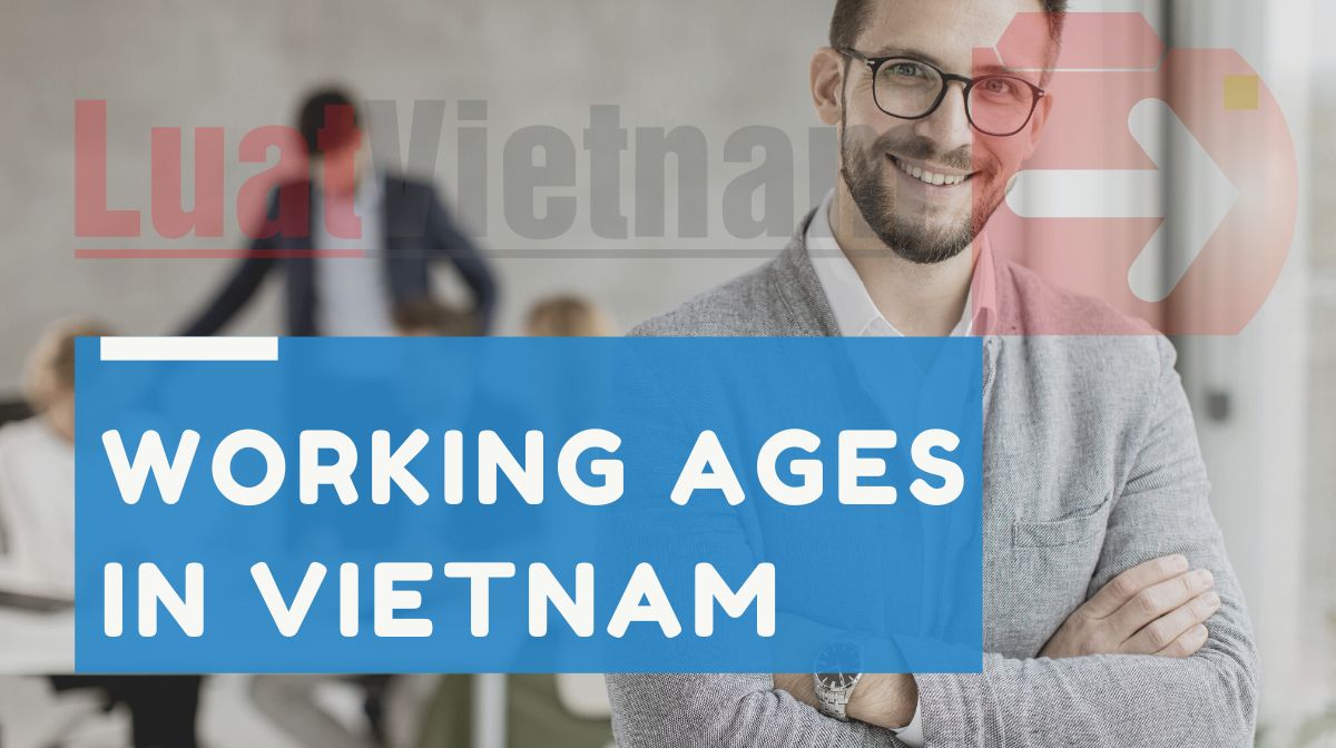 How old are the working ages in Vietnam?