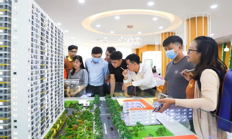 Shall amend the regulations on tax and notary for real estate