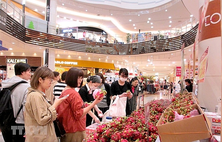 Motivate enterprises to directly join foreign distribution networks