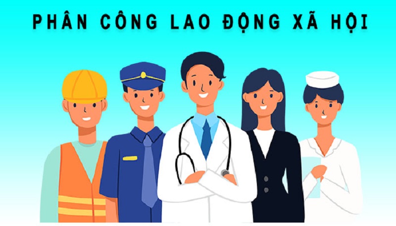 Phân công lao động xã hội dựa theo sở trường, kỹ thuật