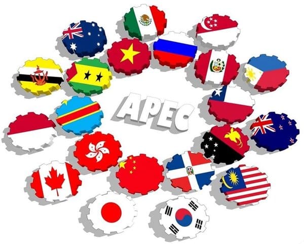 The-APEC