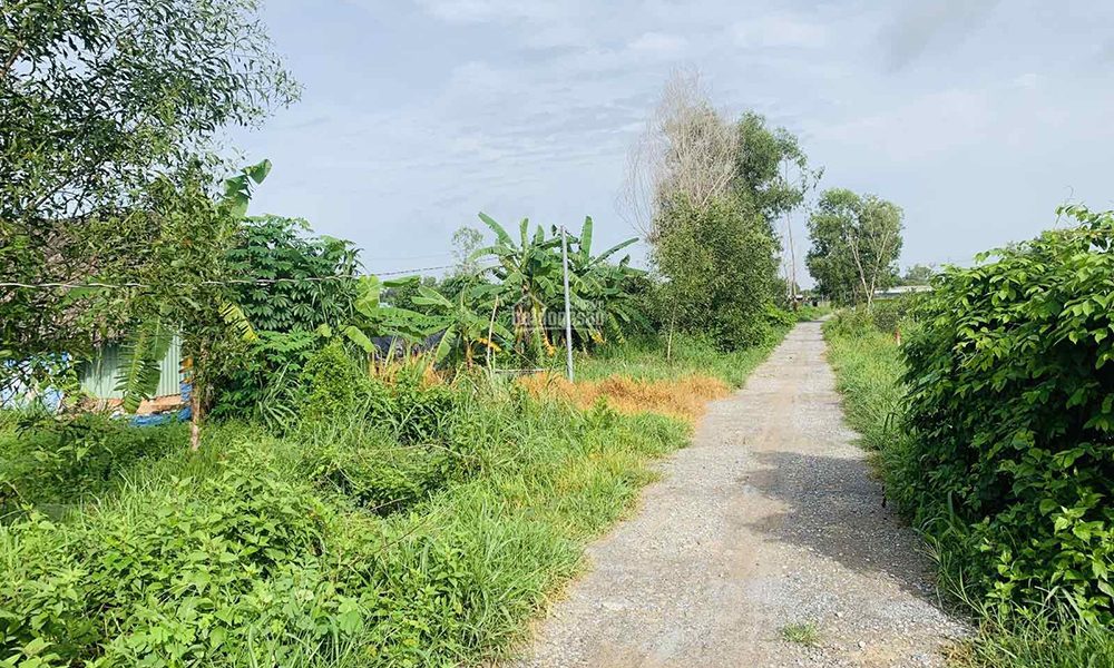 Đất Vườn Hợp Tuổi Ngọ