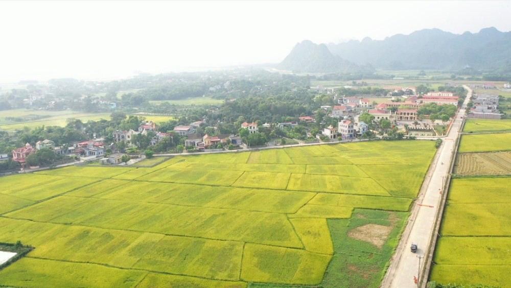 Read more about the article Hạn mức sử dụng đất nông nghiệp hiện nay là bao nhiêu?