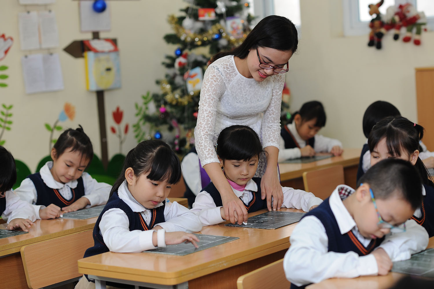 Particular regulations related to teachers brought into law