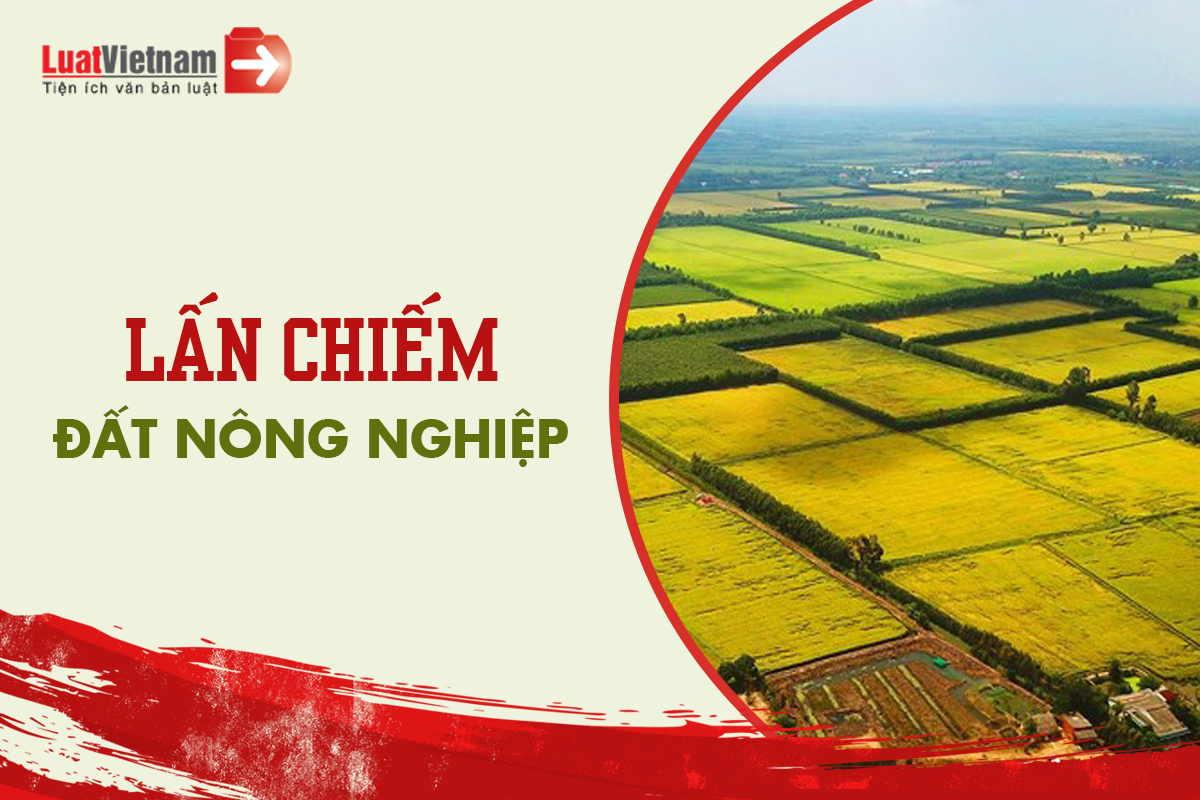 Lấn chiếm đất nông nghiệp bị phạt thế nào