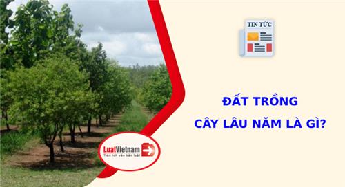 Đất trồng cây lâu năm là gì? có được xây nhà không?