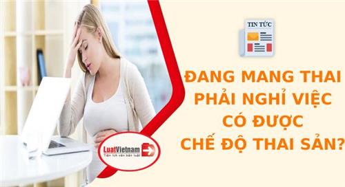 Đang mang thai nghỉ việc có được hưởng chế độ thai sản không? Đang mang thai nghỉ việc có được hưởng chế độ thai sản không?