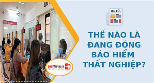 Đang đóng bảo hiểm thất nghiệp được hiểu như thế nào? Đang đóng bảo hiểm thất nghiệp được hiểu như thế nào?