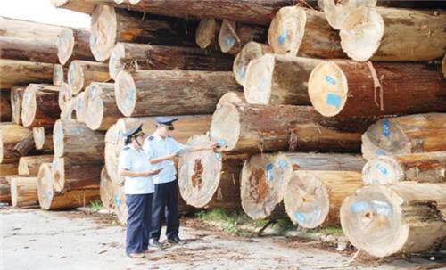 Từ 30/10/2020, cần kiểm tra thực tế 20% lô hàng gỗ trước khi xuất khẩu 