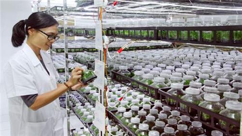 Đào tạo nghề cho 10.000 lao động tại cơ sở công nghiệp nông thôn