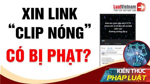 Video: Xin link 'clip nóng', có bị phạt?