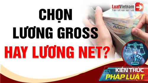 Video: Lương gross, lương net là gì? Nhận lương nào có lợi hơn?
