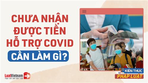 Video: 5 lưu ý khi chưa nhận được tiền hỗ trợ Covid-19