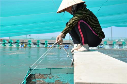 Mức thu phí mới trong quản lý nuôi trồng thủy sản từ 01/02/2022