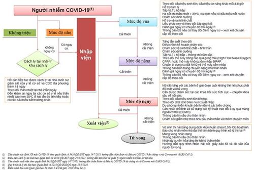 Quyết định 250/QĐ-BYT của Bộ Y tế về việc ban hành Hướng dẫn chẩn đoán và điều trị COVID-19