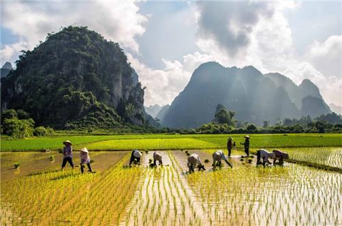 Ưu tiên hỗ trợ vốn cho các xã, huyện chưa đạt chuẩn nông thôn mới