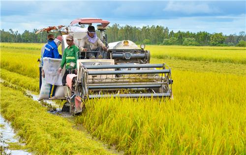 Hỗ trợ phát triển sản xuất nông nghiệp cho hộ nghèo, cận nghèo