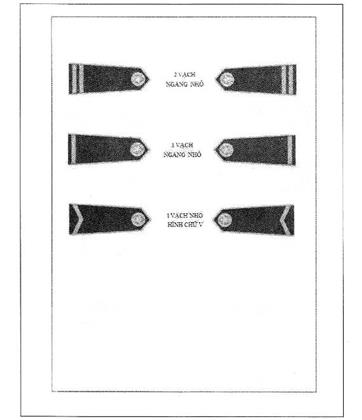 Thông tư 12/2012/TT-BGTVT của Bộ Giao thông Vận tải quy định về trang phục, phù hiệu, cấp hiệu của lực lượng An ninh hàng không dân dụng