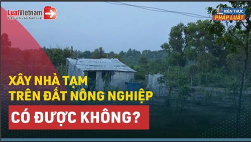 Video: Xây nhà tạm trên đất nông nghiệp được không? 1 số lưu ý khi xây nhà tạm 