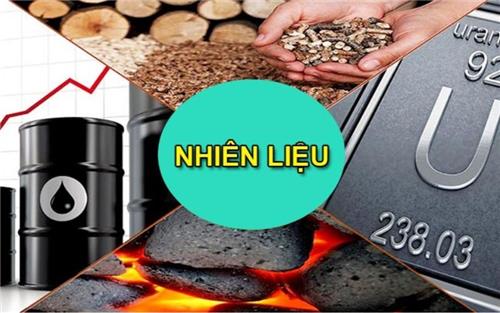 Nhiên liệu là gì? Nhiên liệu có những loại nào? 