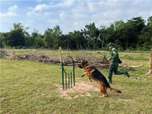 Quân hàm của chó nghiệp vụ Việt Nam được quy định thế nào?