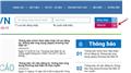 Hướng dẫn đăng ký website dịch vụ TMĐT trong công ty cổ phần