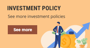 Investment policy