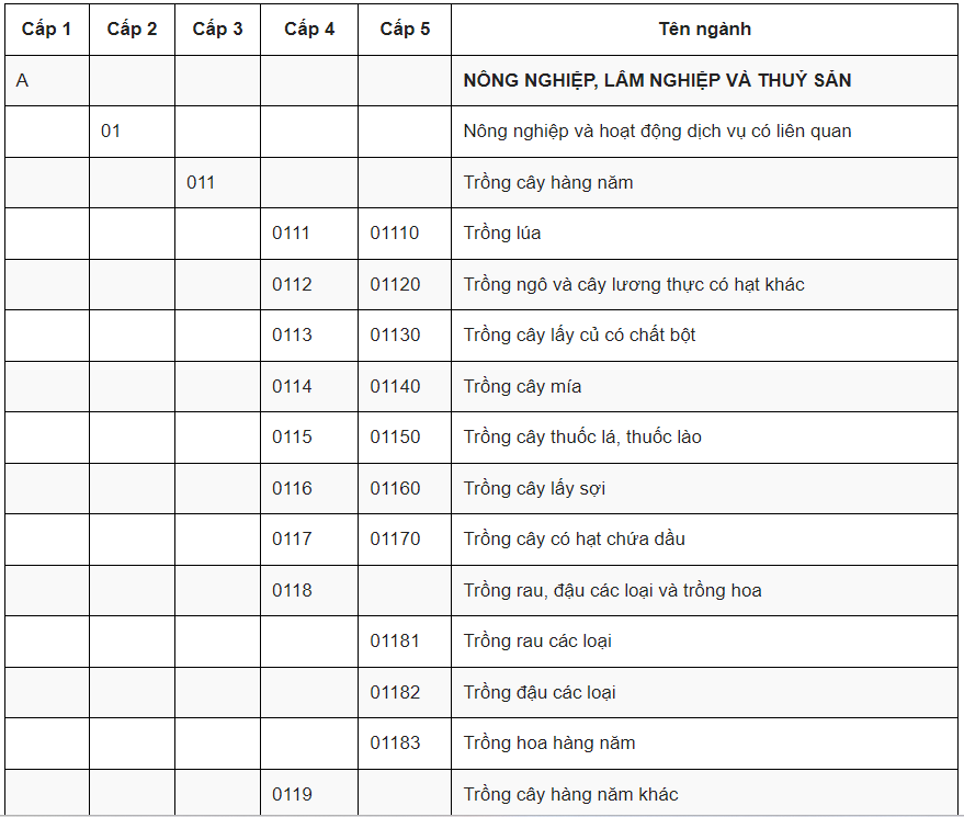 Tiếp Cận Thị Trường và Xây Dựng Thương Hiệu Yến Sào